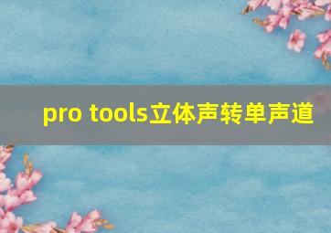 pro tools立体声转单声道